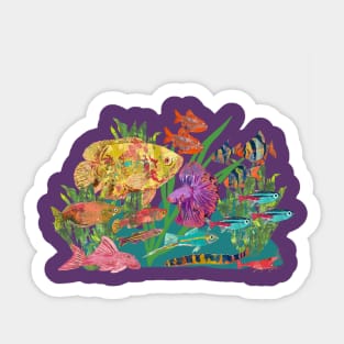 School of Colorful Tropical Freshwater Fish Sticker